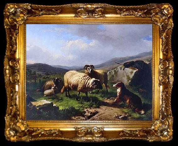 framed  unknow artist Sheep 113, ta009-2